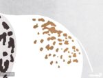 پوستر دیواری اتاق کودک حیوانات 10153800