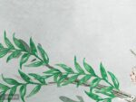 پوستر دیواری اتاق کودک حیوانات 10159600