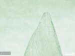 پوستر دیواری اتاق کودک ستاره 12010420