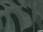 پوستر دیواری برگ انجیری هاوایی 12215800
