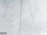 پوستر دیواری برگ نخل 10159500