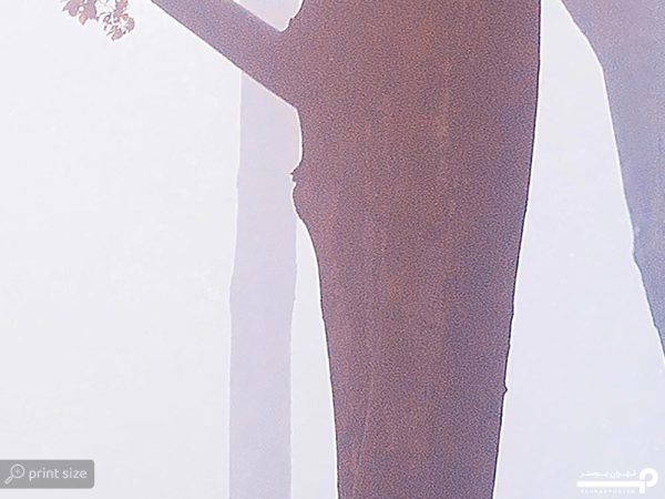 پوستر دیواری جنگل 10053900 - Image 5