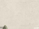 پوستر دیواری جنگل حیوانات 10256800