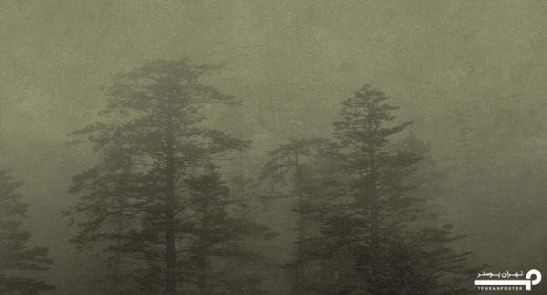 پوستر دیواری جنگل طبیعت 10071230 - Image 6