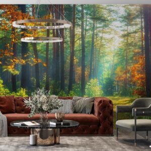 پوستر دیواری جنگل طبیعت زیبا 10296100