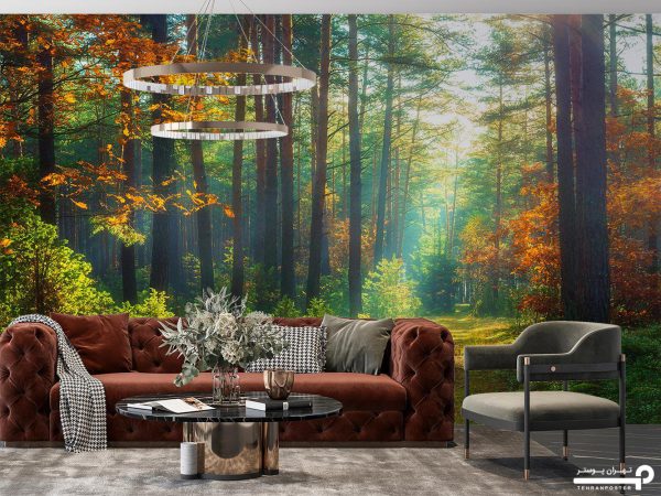 پوستر دیواری جنگل طبیعت زیبا 10296100