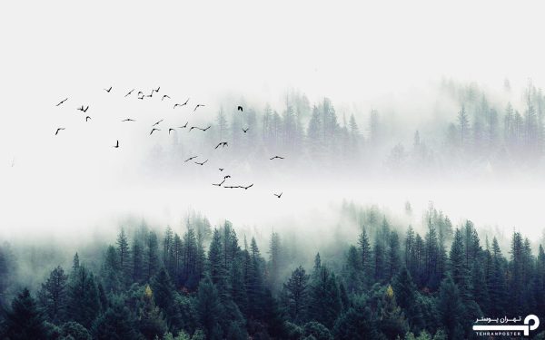 پوستر دیواری جنگل مه آلود و پرندگان 10010500 - Image 4