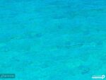 پوستر دیواری دریا آبی 10291900
