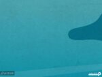 پوستر دیواری دریا و دلفین 10163500