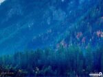 پوستر دیواری دریاچه و طبیعت 10295300