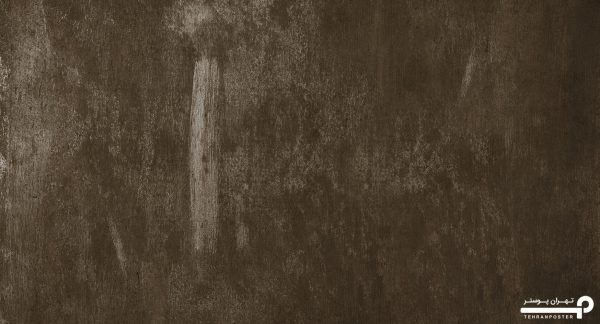 پوستر دیواری ساده کلاسیک 10293000 - Image 6