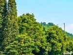 پوستر دیواری شهر ساحلی 10292900