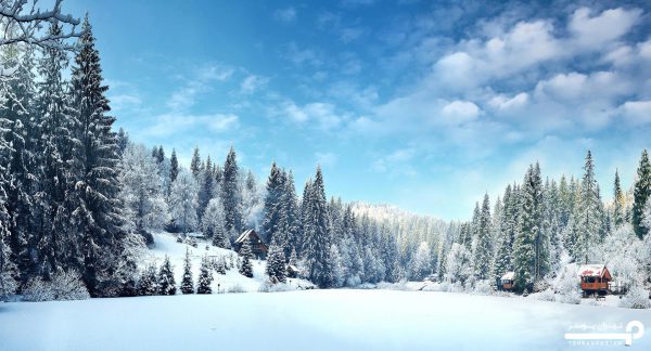 پوستر دیواری طبیعت برفی و زمستانی 10116800 - Image 6