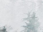 پوستر دیواری طبیعت مه آلود 10282800