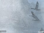 پوستر دیواری طرح آسمان و پرنده 10168300