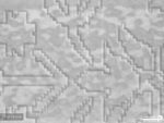 پوستر دیواری طرح بتنی 12012200