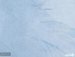 پوستر دیواری طرح برگ 10148600