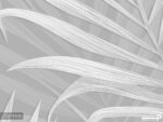 پوستر دیواری طرح برگ 11010830