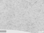 پوستر دیواری طرح برگ بزرگ 12110830