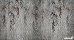 پوستر دیواری طرح برگ درخت 12010210