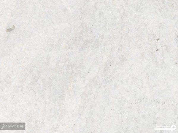 پوستر دیواری طرح برگ درخت 12012300 - Image 5
