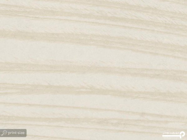 پوستر دیواری طرح برگ ساده 10113100 - Image 5