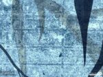 پوستر دیواری طرح برگ سوزنی 11010110