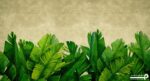 پوستر دیواری طرح برگ هاوایی 10044800