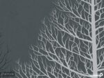 پوستر دیواری طرح درخت 10125700