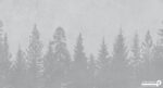 پوستر دیواری طرح درخت 10266600