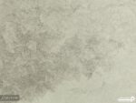 پوستر دیواری طرح درخت ساده 10173200