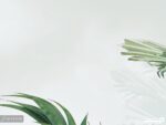 پوستر دیواری طرح درخت و طبیعت 10177900