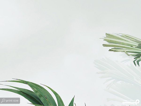 پوستر دیواری طرح درخت و طبیعت 10177900 - Image 5