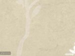 پوستر دیواری طرح شاخه و پرنده 10175100