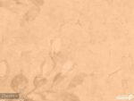پوستر دیواری طرح شعر پتینه 10073730