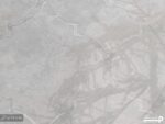 پوستر دیواری طرح مدرن درخت 10071540