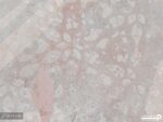 پوستر دیواری طرح و مدل شعر 12219500
