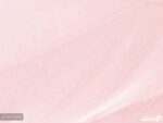 پوستر دیواری طرح پر 10169900