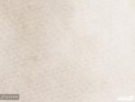 پوستر دیواری طرح پرنده 10172000