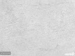پوستر دیواری طرح پرنده 10176200