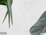 پوستر دیواری طرح پرنده 10247600