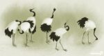 پوستر دیواری طرح پرنده 10288900