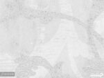 پوستر دیواری طرح پیچک 10073230