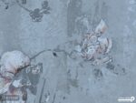 پوستر دیواری طرح گل 10072900