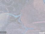 پوستر دیواری طرح گل بزرگ 13014200