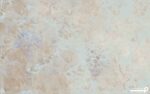 پوستر دیواری طرح گل ریز 12210900