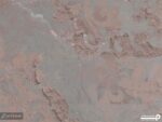 پوستر دیواری طرح گل کلاسیک 13013400