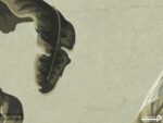 پوستر دیواری لاکچری برگ و پرنده 10199100