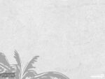 پوستر دیواری مدرن طرح درخت 10186200