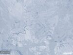 پوستر دیواری مدل برگ مدرن 12218500